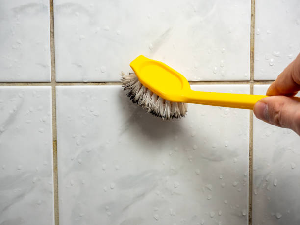 Best Mold Testing  in Yamhill, OR